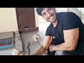 Day 7/51 transformation of vegetarian #bodybuilding #motivation #video #viral