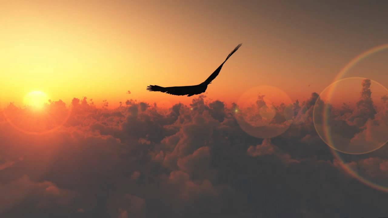 Obejrzyj Blend - Taking Flight w YouTube Obejrzyj Blend - Taking Flight w YouTube