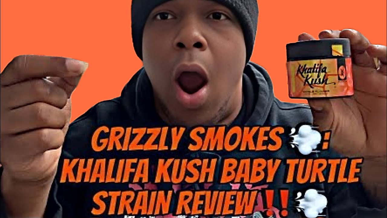 Grizzly Smokes 💨: KHALIFA KUSH BABY TURTLE STRAIN REVIEW ‼️💨