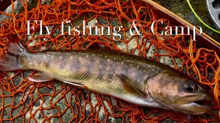 2022 Apr 6~7 Fly fishing & Camp    フライフィッシング　ソロキャンプ　ドライフライ　Black Wolf Stealth Messh tent
