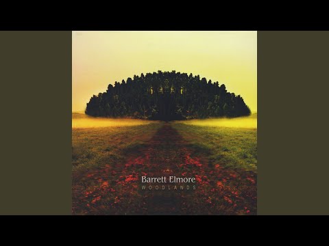 Barrett Elmore — The Nixie