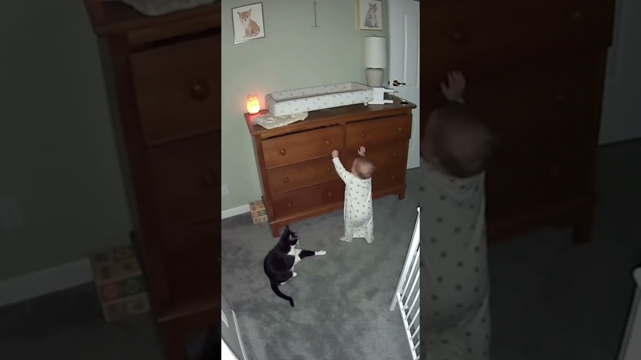 CAT SAVES BABY FROM FALLING MONITOR!