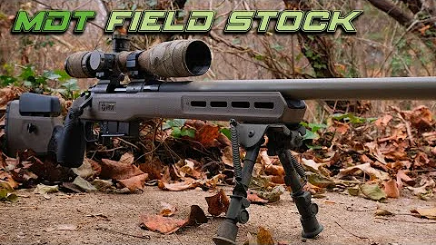 MDT FIELD STOCK: The Perfect Affordable Chassis/Stock?