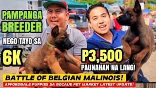 PAMPANGA BREEDER DUMAYO SA BOCAUE | P3,500 MURANG BELGIAN MALINOIS SA BOCAUE PET MARKET UPDATE by Nanay Karen & Tatay Chester Vlogs 9,785 views 2 weeks ago 20 minutes