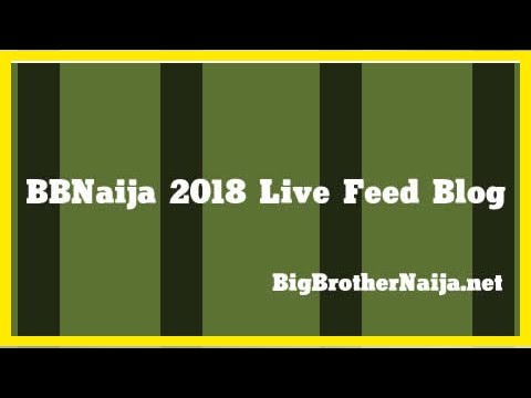 Download BBNaija 2018 Day 43 Live Feed Blog | Big Brother Naija: Double Wahala 2018
