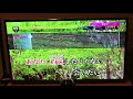 「会いたい」沢田知可子 歌ってみた!