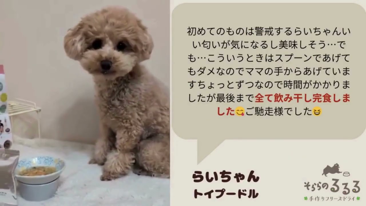 ドッグフード sora シュナウザー・テリア専門ドッグフードショップ【mmsu-ha DOG FOOD SHOP】