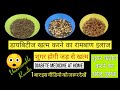 Diabetes Control Powder At Home only 3 Ingredients | मधुमेह का इलाज |शुगर की घरेलु दवाई #Diabetes