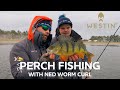 Perch Fishing with Ned Worm Curl | Westin Fishing