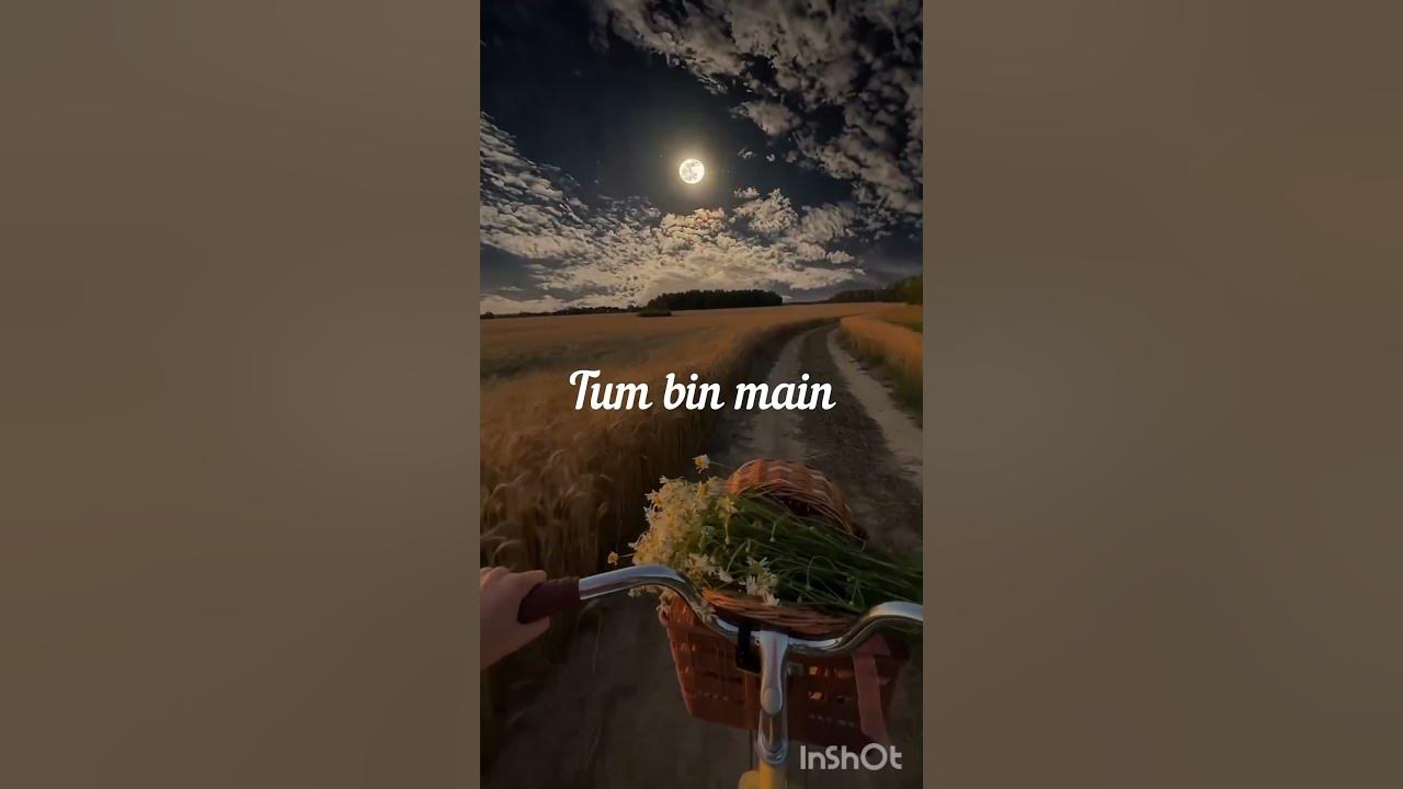 Try this with your own voice 😘 #aesthetic #song #trending #beautiful #peaceful #try to sing.....🤗