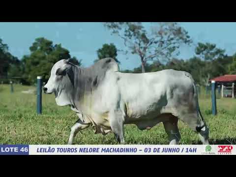 LOTE 46   DIM 6185 1 MP4