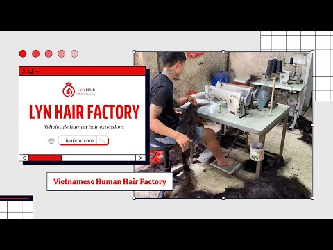 Wholesale Clip in Human Hair Extension Vietnam Supplier and Factory