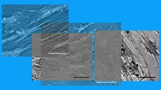 97E45BDB12DB41E5111C144D2176C5#1