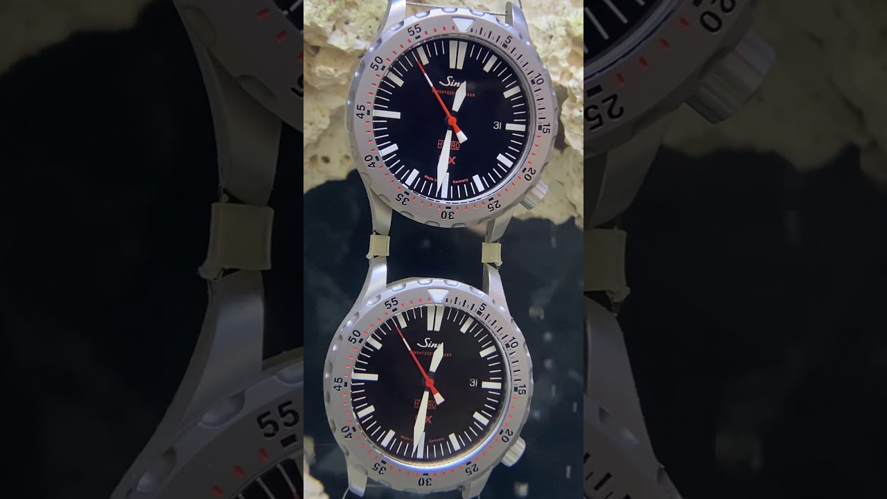 No.008】水槽の中で泳いでいるのは魚ではなく・・・ – Sinn DEPOT