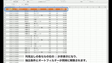 オートフィルター（７）オートフィルターの解除 － noa出版 リファレンス動画 Excel 2016
