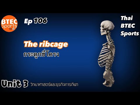 Ep.106 The ribcage กระดูกซี่โครง