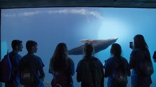 WYSE 2016: The National Zoo