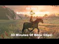 Botw Clips For Centuries!!! {10.000 Subscriber Special}