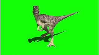 why are dinosaurs so popular????