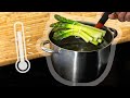 Technique de Cuisson des Asperges Vertes
