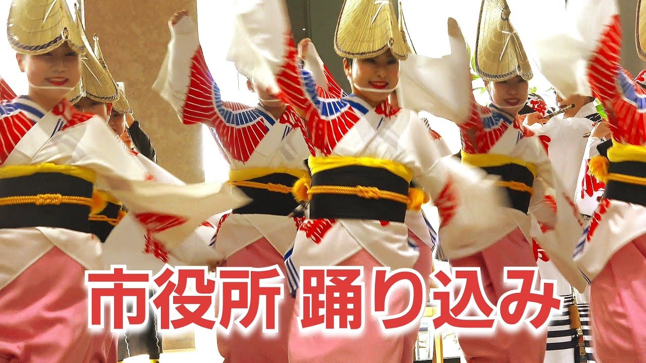 阿波踊り『阿呆連』阿南市役所へ豪快に踊り込み