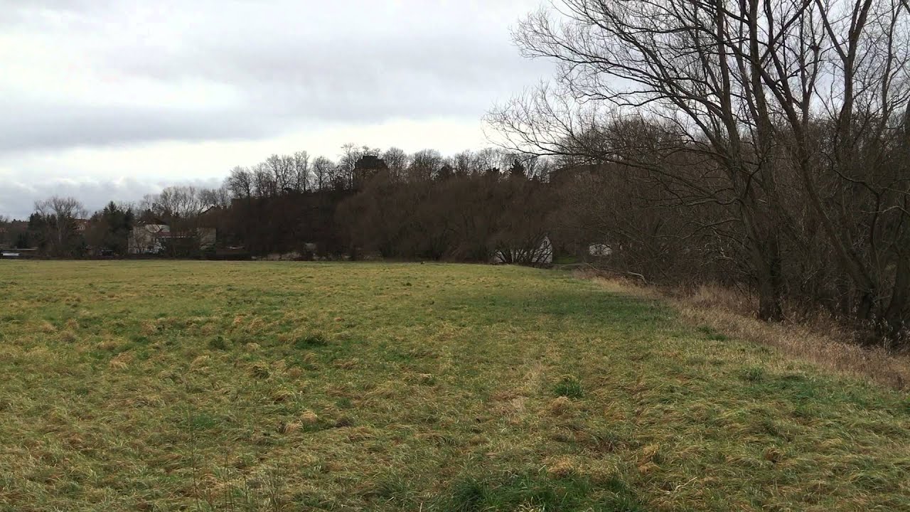 Die Große Freiheit Die Große Freiheit