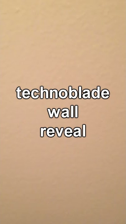 Slur Warning) Technoblade Plushie Unboxing (April 19, 2022) (From Alt) 