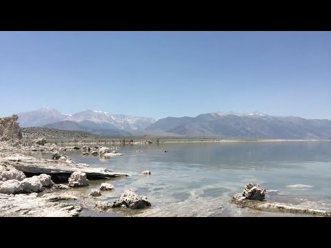 This lake is WEIRD and I'm pretty sure it has Mono - Mono Lake Sometimes Vlog