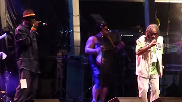 wailing souls (live) rototom 2014