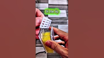 lọc mini yee, tạo luồng, dàn mưa và oxy #guppyxanh #guppyxanhvn #guppyxanhlongxuyen