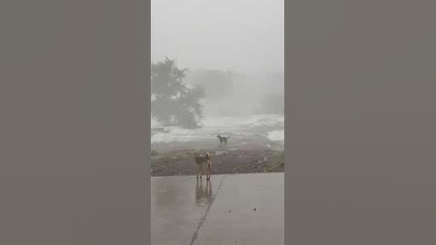 Aji dam Rajkot Hevy overflow today
