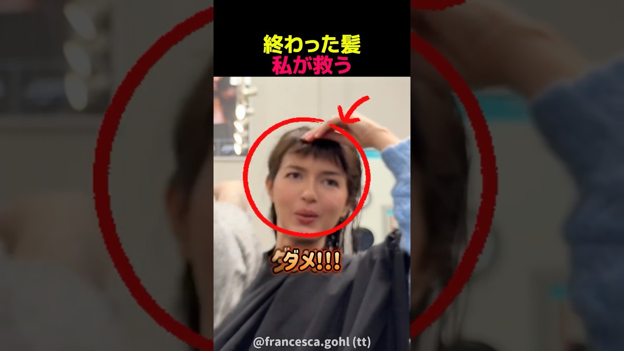 終わった髪、私が救う