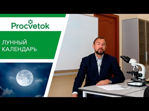 Вопрос: Действительно ли луна может влиять на рост растений?