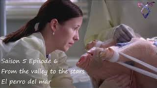 Grey&#39;s Anatomy S5E06 - From the valley to the stars - El perro del mar