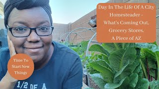 Day In The Life Of A City Homesteader - Garden, Grocery Stores Shortages, And A Piece of AZ