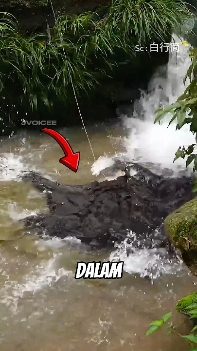 The secret behind donkey skin #donkey #uniquefacts