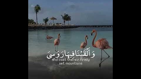 ولقد جعلنا في السماء || قرآن كريم بصوت هزاع البلوشي || حالات واتس اب دينية