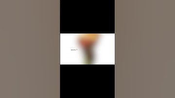 Google satire parody comedy puppet show | The Erica Crooks Show ( 2015 )