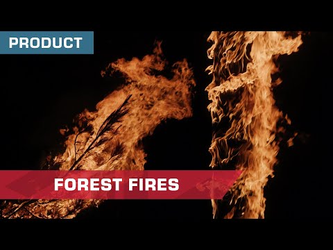 Forest Fires Stock Footage Now Available | ActionVFX