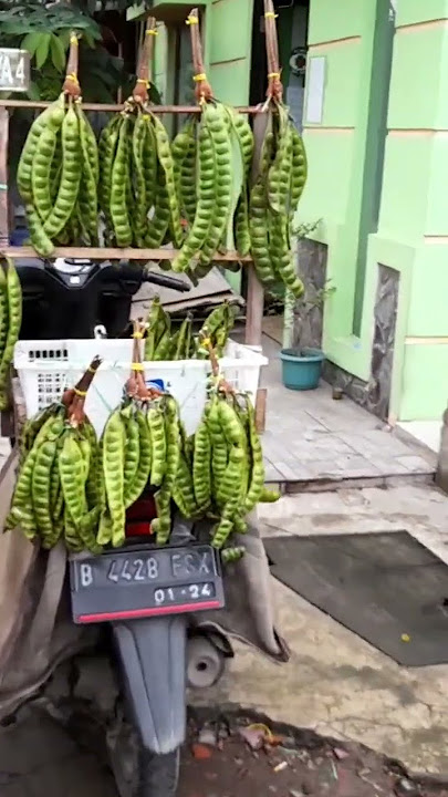 Jualan Pete