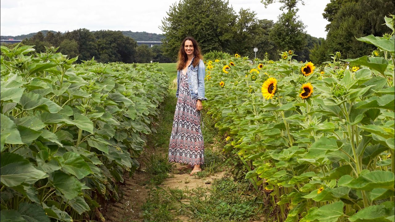Wann ist der Dualseelenprozess zu Ende? Wie fühlt es sich an?