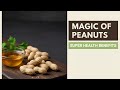 Mongphali Khane Ke Fayde | Health Benefits of Peanuts | مونگ پھلی کے فائدے