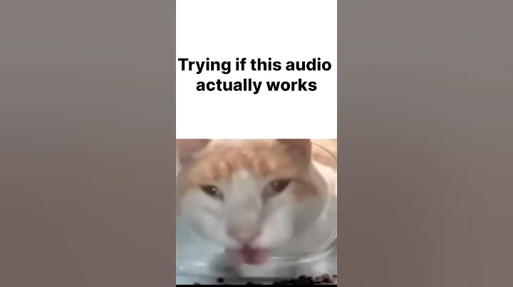 trying #cat #helpmemakethismakesense #memes #funny #cute #silly #shorts #trending #song #trend