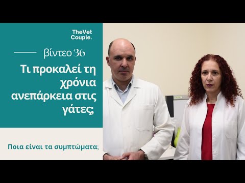 Βίντεο: Μπορεί η πυελονεφρίτιδα να προκαλέσει αναιμία;