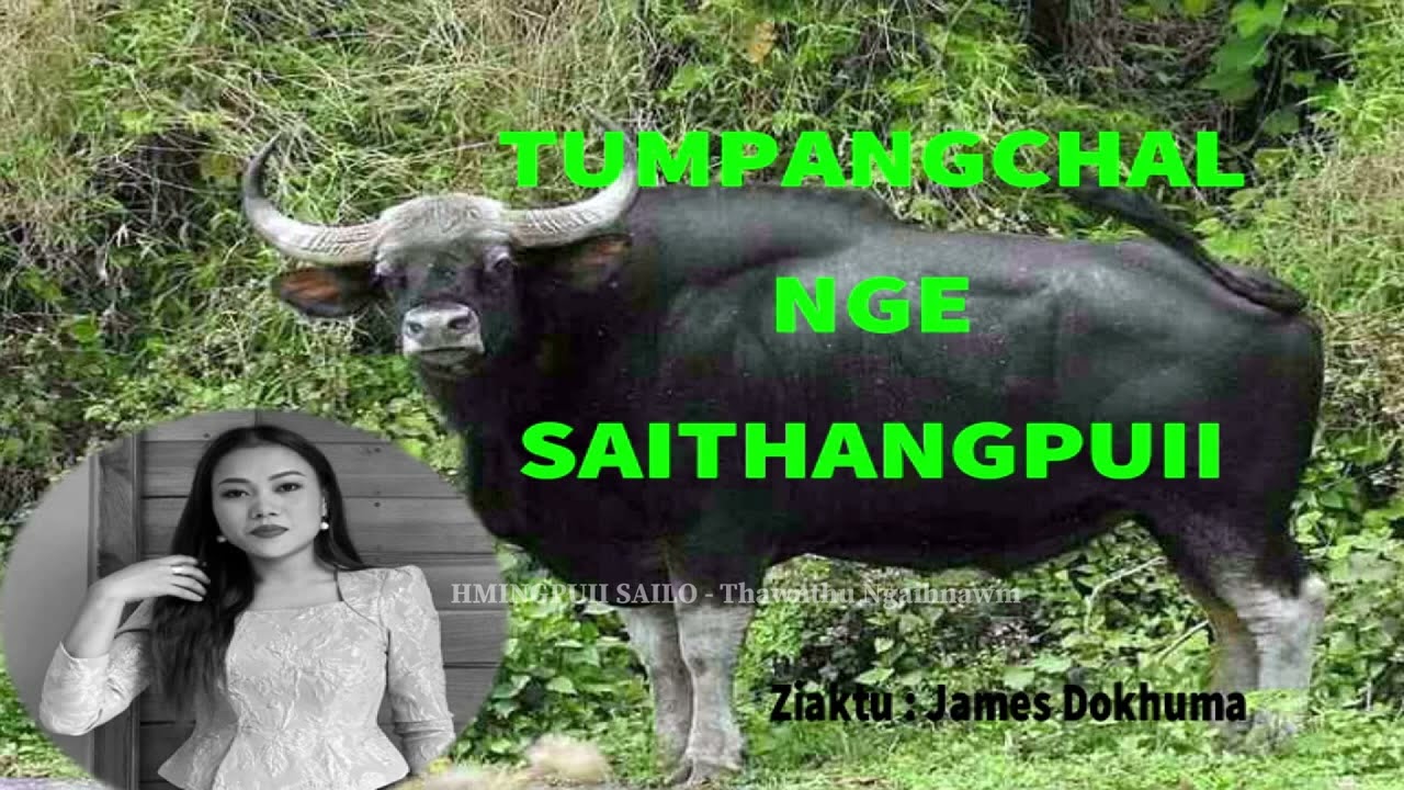 TUMPANGCHAL NGE SAITHANGPUII (THE GIANT GAUR OR SAITHANGPUII)
