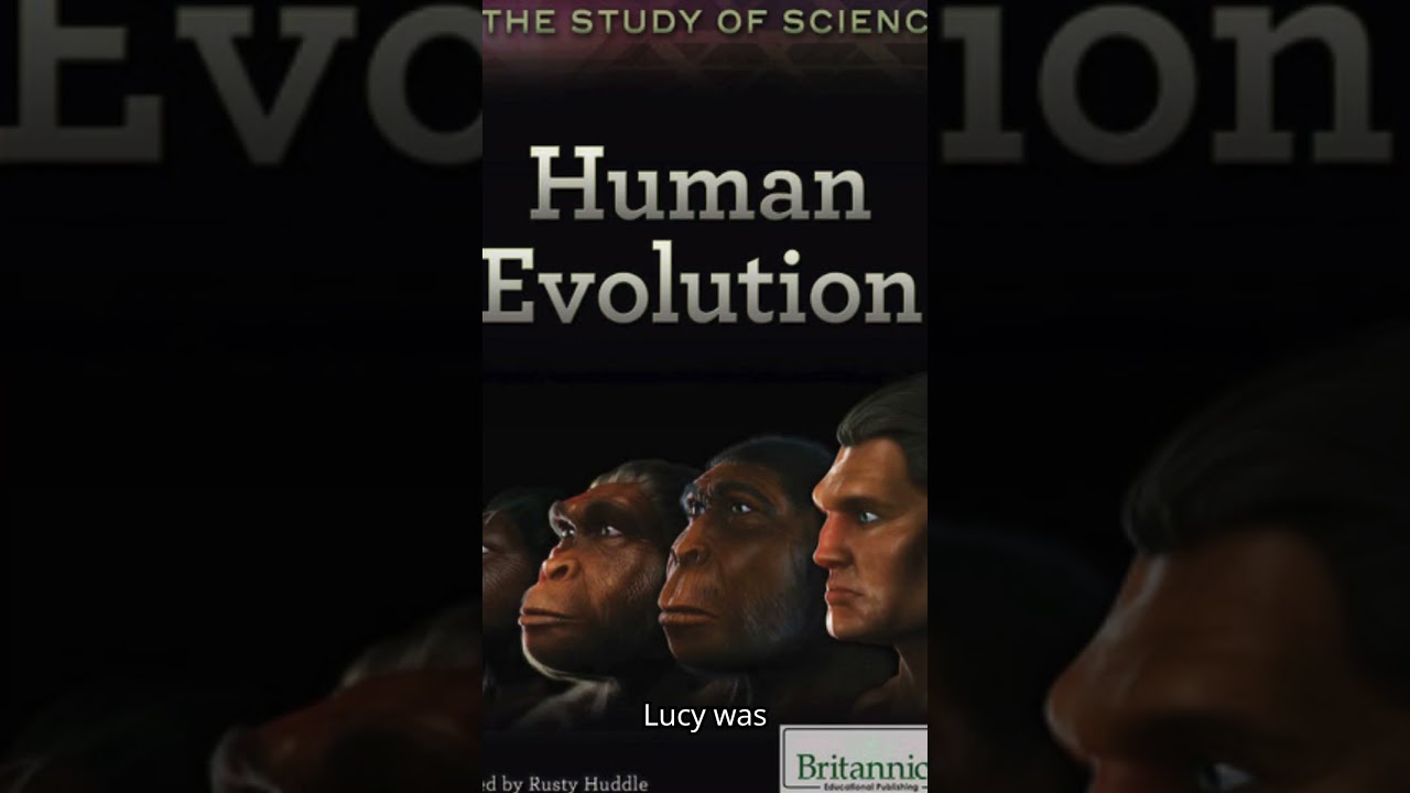 Australopithecus were not bipedal 