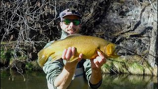 Fishing a Flooded Mineshaft for Big Gila Trout - Fly Fishing in New Mexico