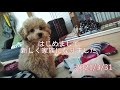 家族がふえました♪