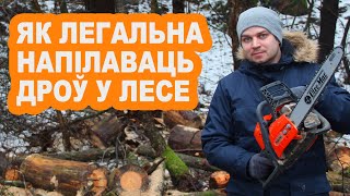 Пайшоў у лес і напілаваў сабе дроў