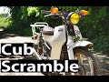 Cub Scramble &amp; Ramble